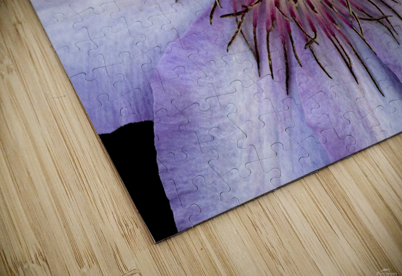 Clap Burst B Zolle Puzzle