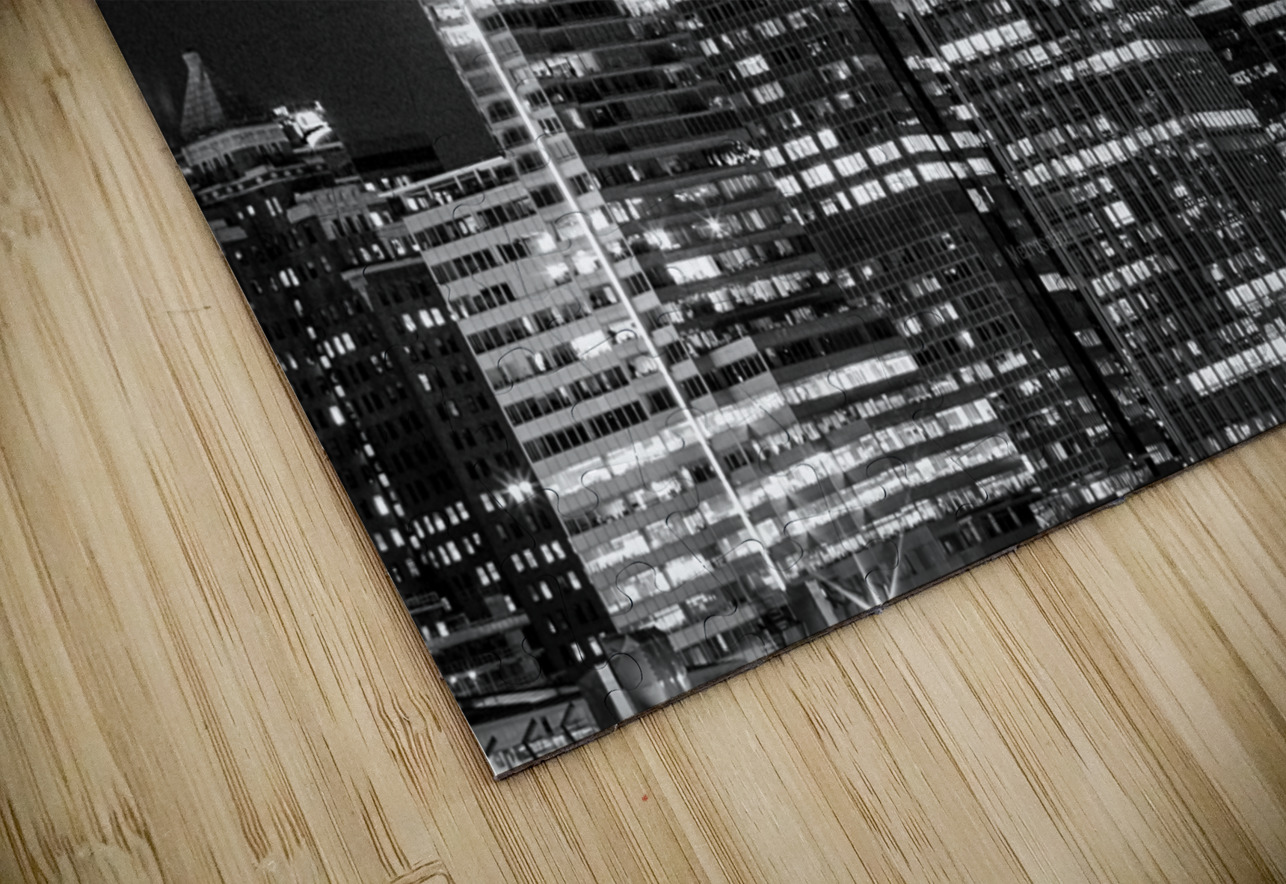 vancouver skyline at night from stanley park  hor Black And White Puzzle