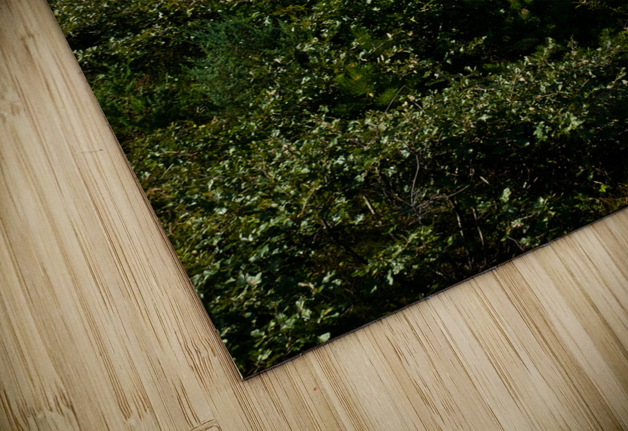 Striped Tower of Nauset Lighthouse on Cape Cod in Massachusetts Allan Wood Puzzle