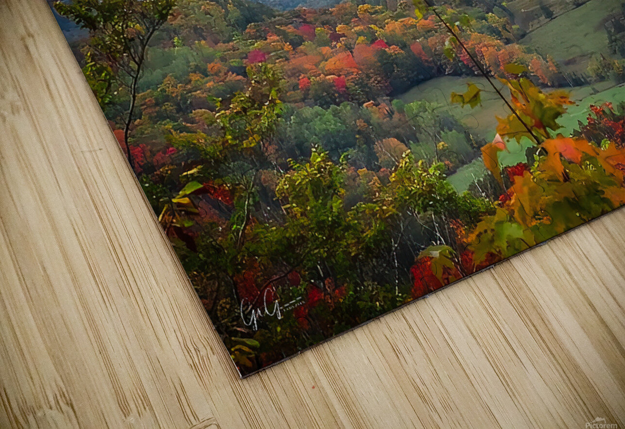 Laurentian View Gavin Graham Puzzle