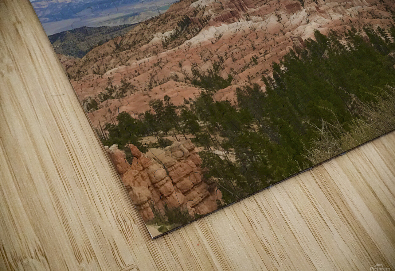 Cloudy Skies Lisa Ann Puzzle