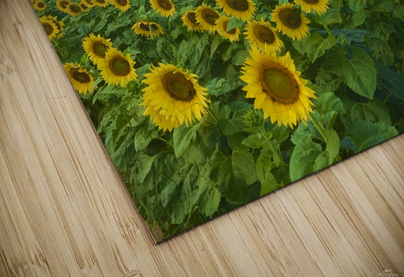 Sunflowers For Days Lisa Ann Puzzle