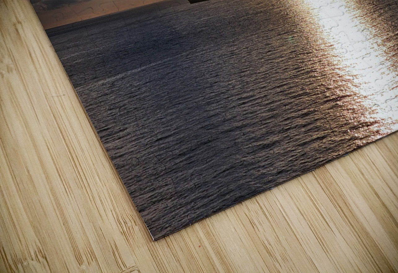 Fort Lauderdale sunset Ideal ideation lc Puzzle