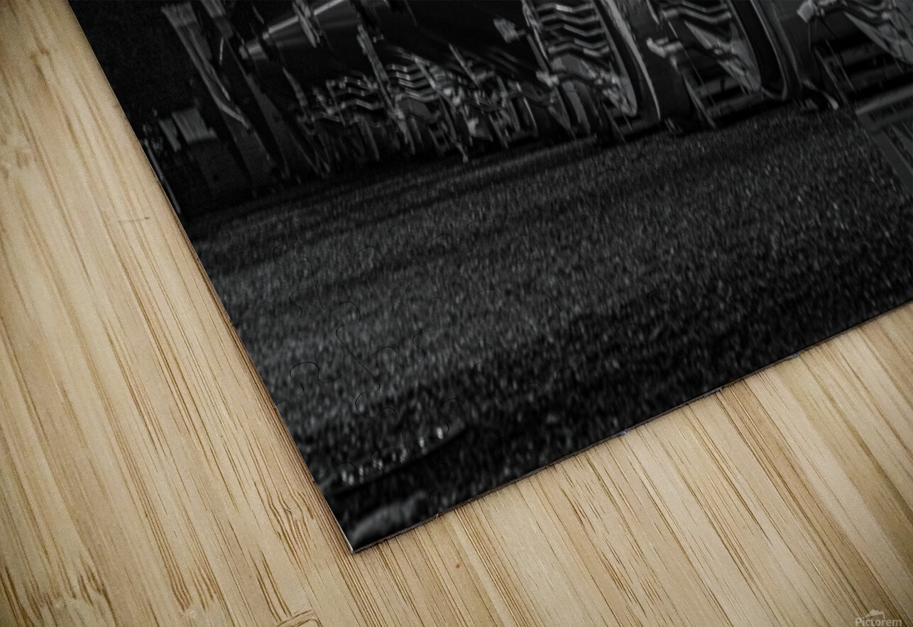 IMG 9300 Roffman Photography Puzzle