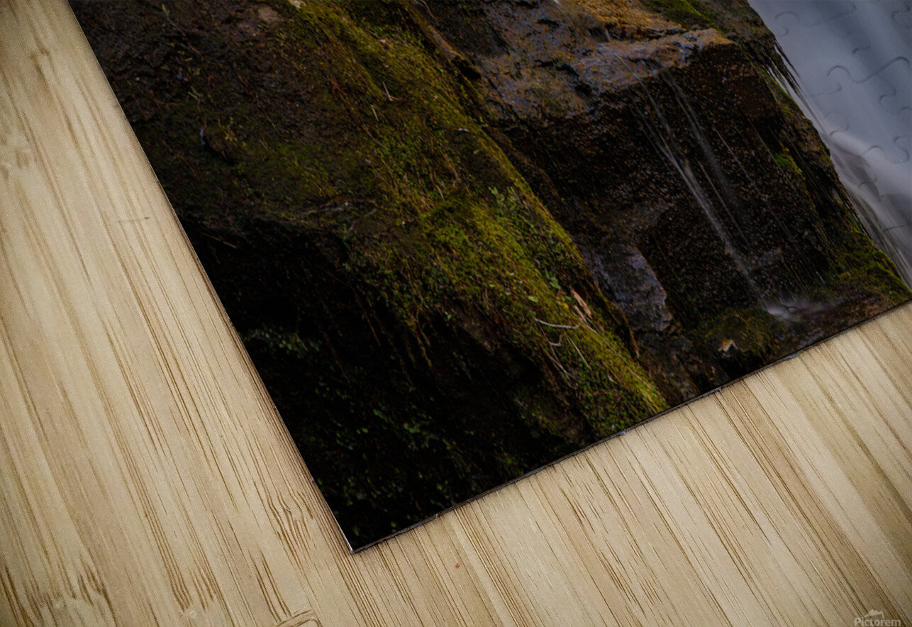 IMG 9285 Roffman Photography Puzzle