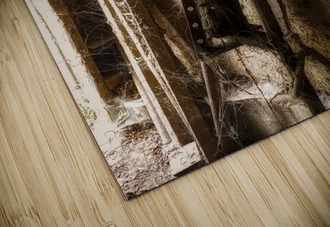 Webs and Parts Kelly S Larson Puzzle