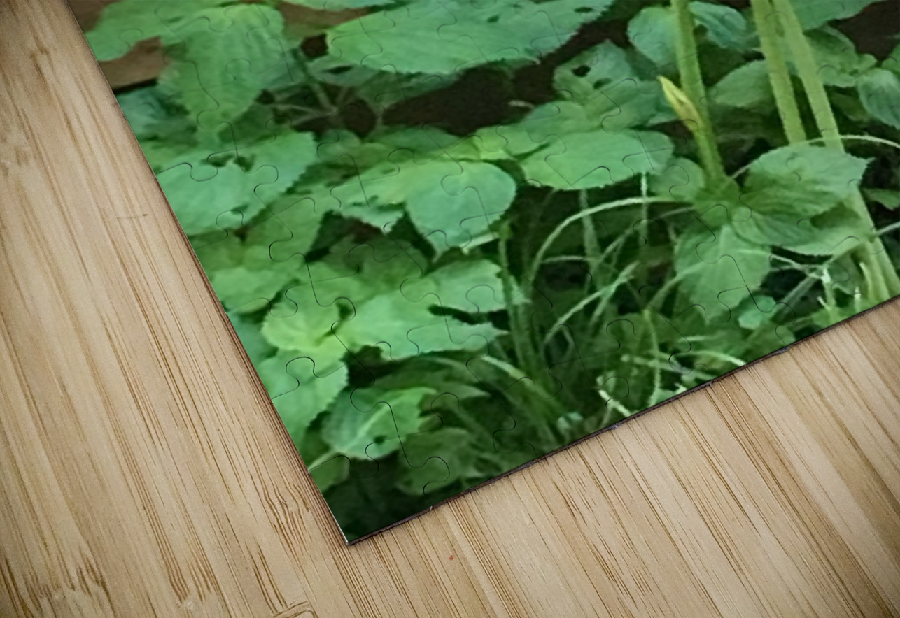 DA6C2393 A60F 43E0 98CD B853A7419173 BCreativeLori Puzzle