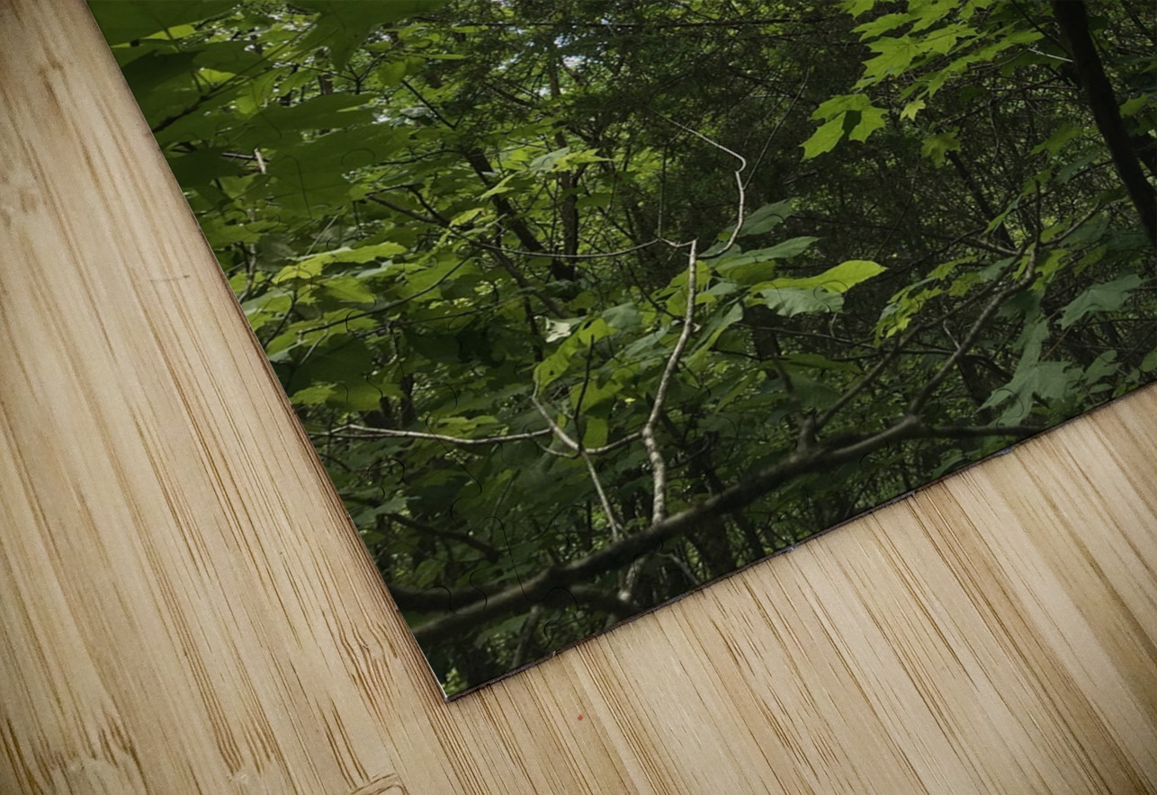 E5A1D5D7 F7D3 40D3 BA47 071C727454C0 BCreativeLori Puzzle