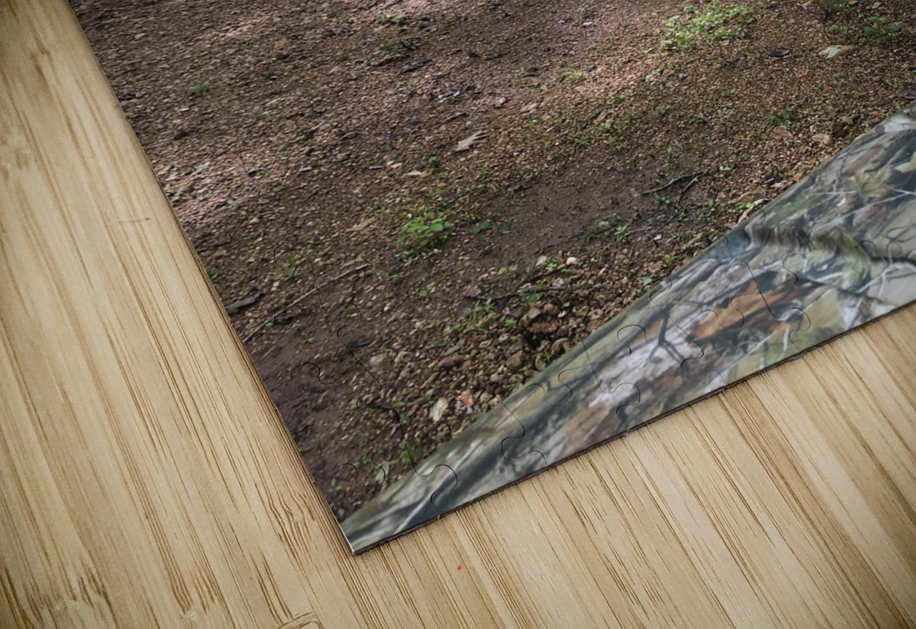 98FE13CE 825F 4D54 9BAF 96484FDA03C2 BCreativeLori Puzzle