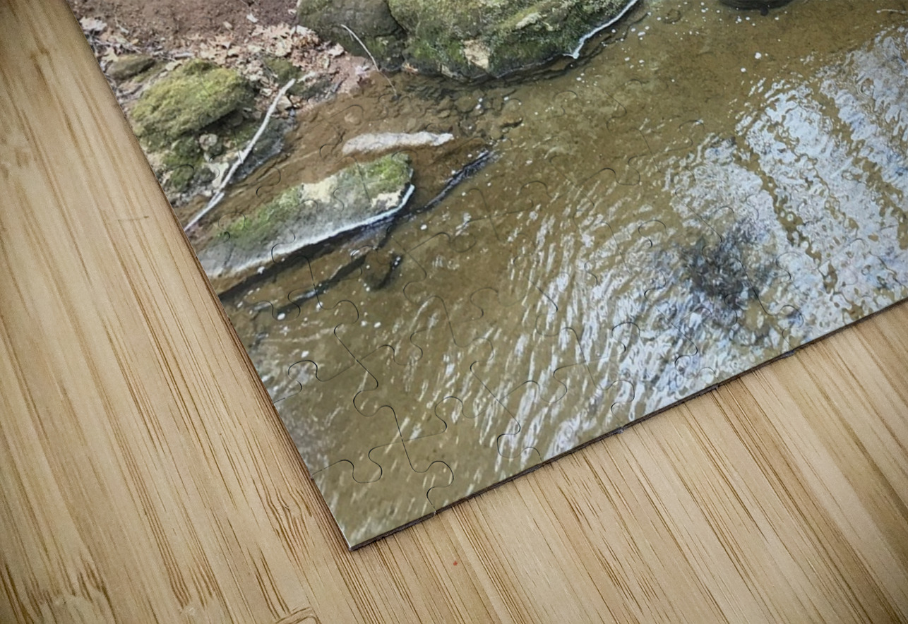 8D3B55C6 982D 4A05 A4E8 40277914F50C BCreativeLori Puzzle