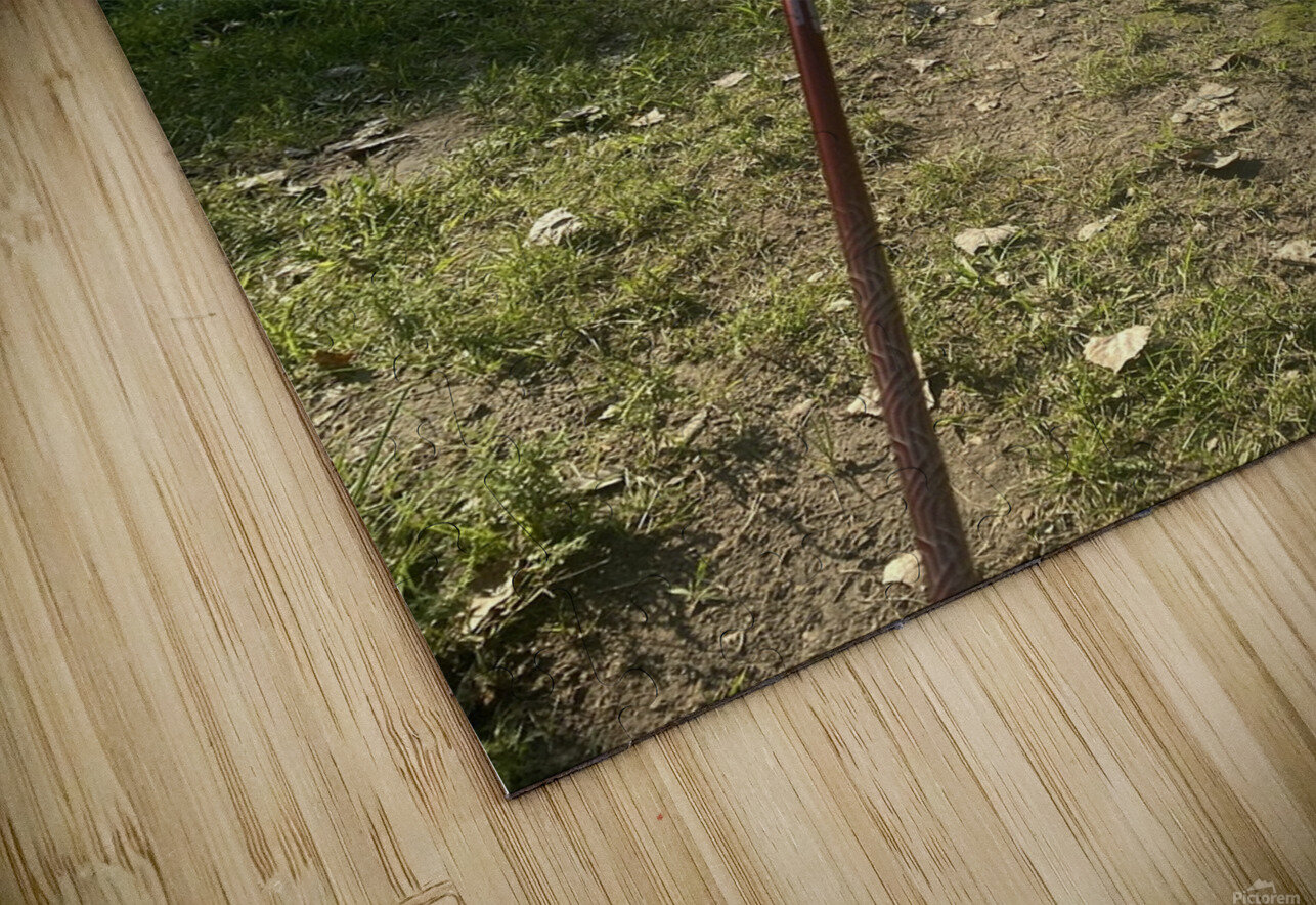 A day on the lake  Amber McElroy Puzzle