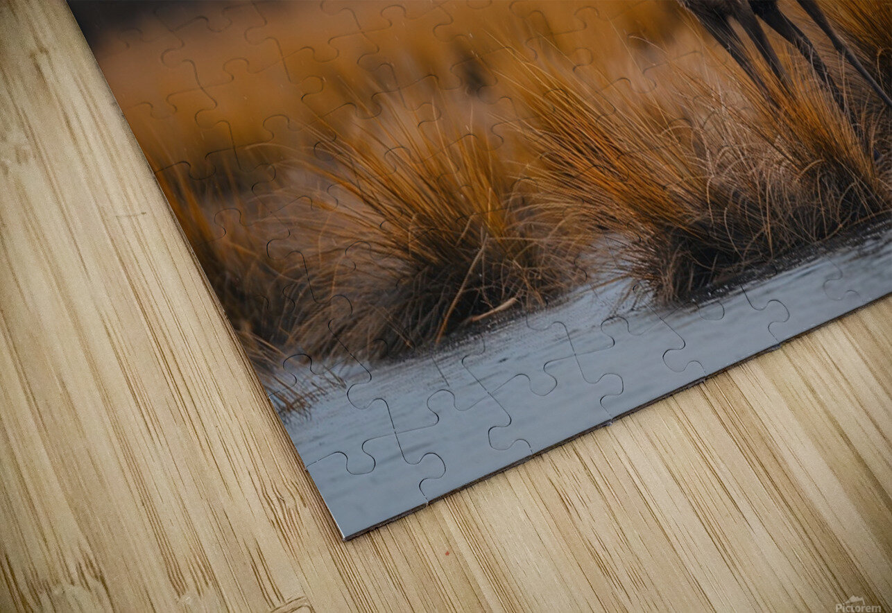 yakynuka Red deer are the iconic wildlife of the Joaquin Corbalan Puzzle