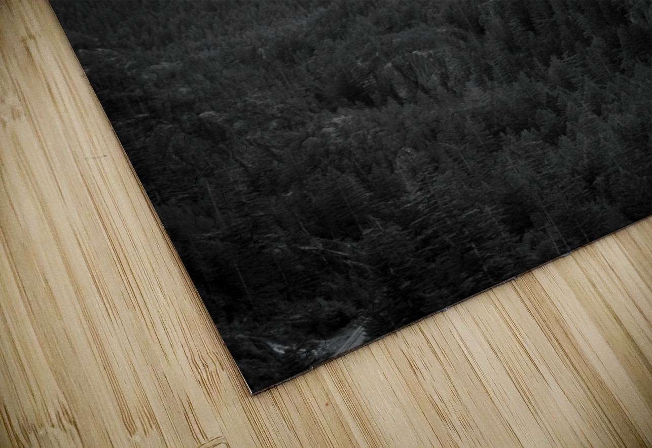 glacier covered mountain peaks squamish  vertical Black And White Puzzle