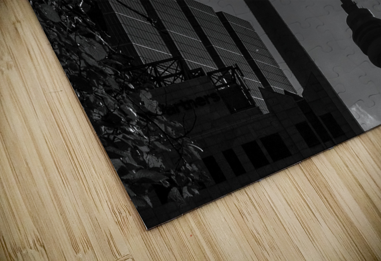 cn tower university avenue  horizontal 426 Univer Black And White Puzzle