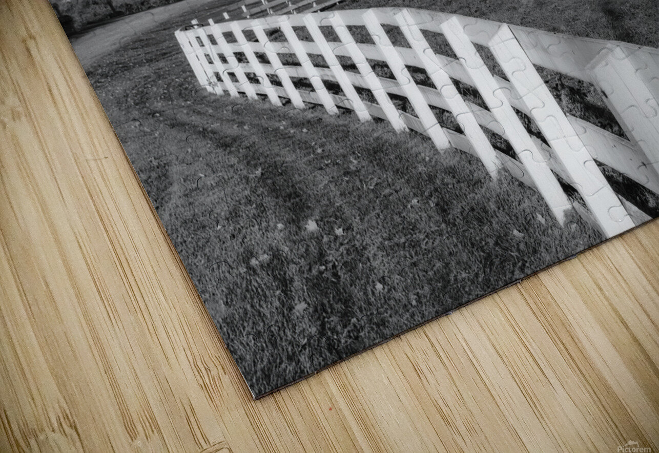 Silos and Fence B W Jerry Fornarotto Puzzle