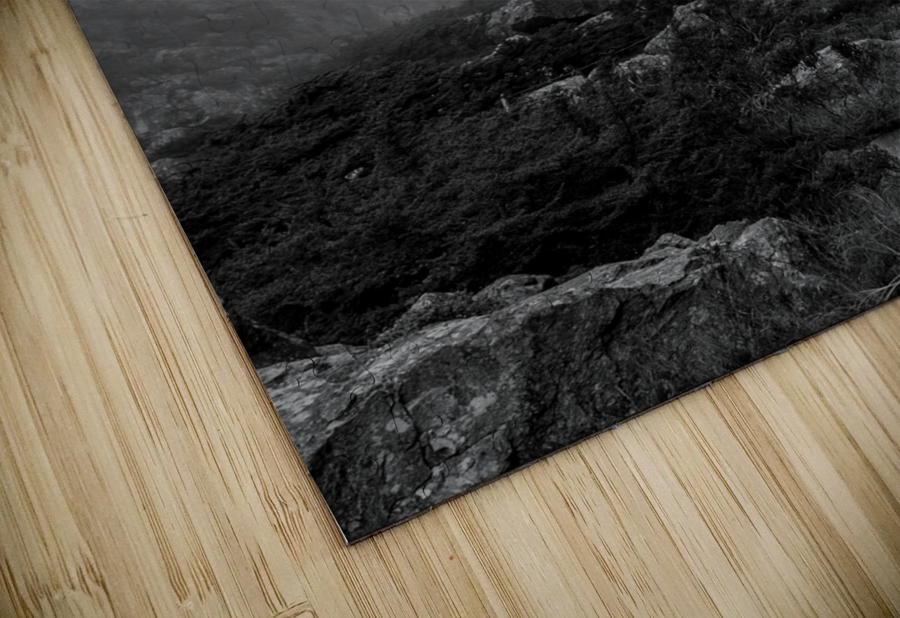 foggy platte klip gorge trail table mountain  ver Black And White Puzzle