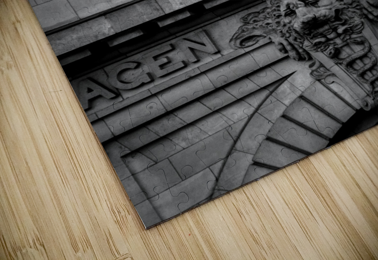 chemen de fer de paris a orleans  vertical 3472 P Black And White Puzzle