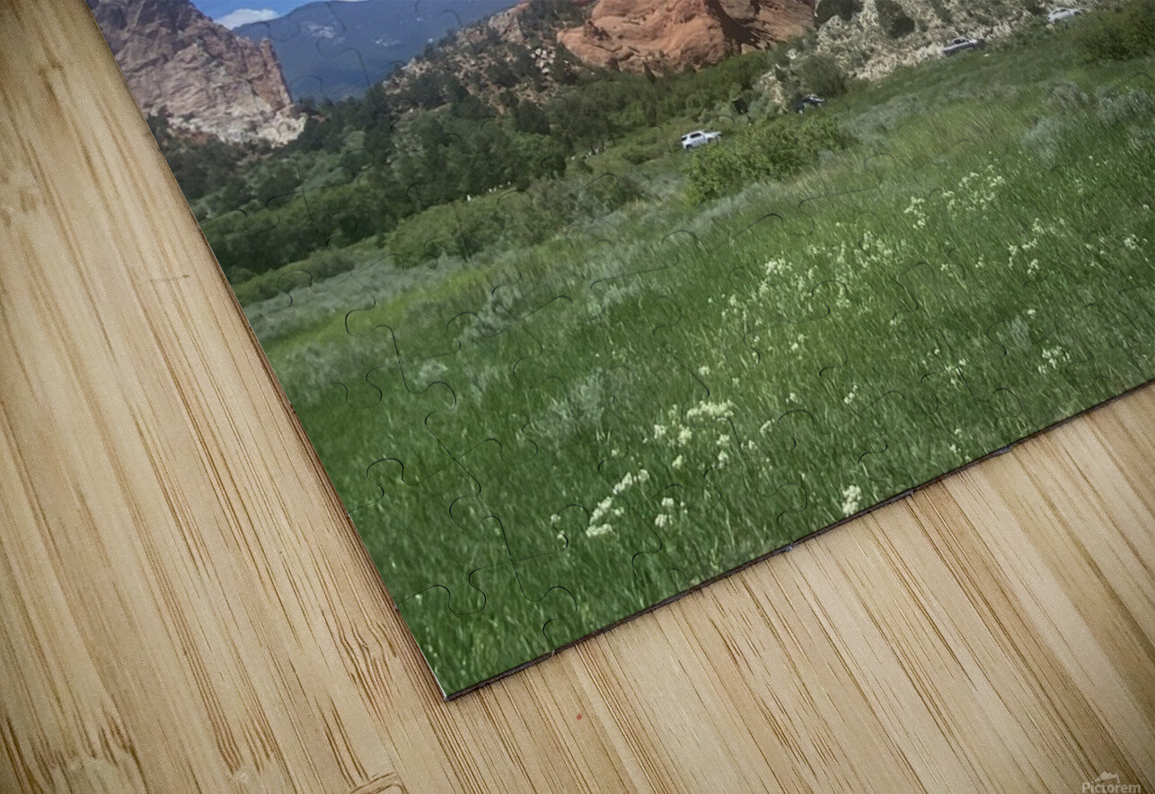 IMG 4153 Ox photography Puzzle