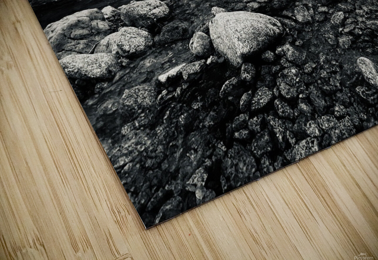 IMG 8124 Ox photography Puzzle