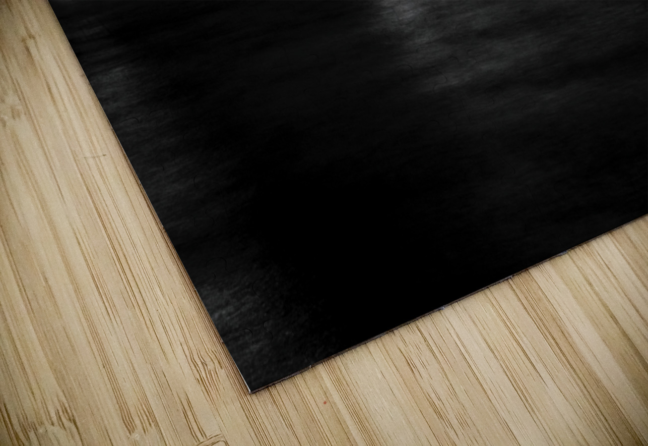 pedestrian bridge over river seine  horizontal 24 Black And White Puzzle