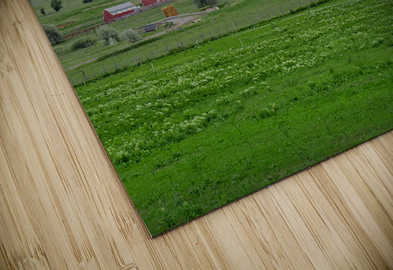 Farm Field Charles Francis Studio Puzzle