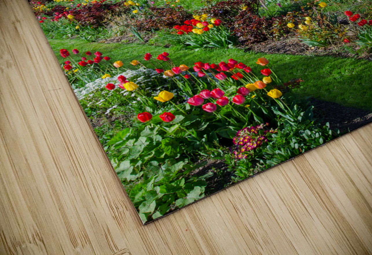 Tulips Charles Francis Studio Puzzle