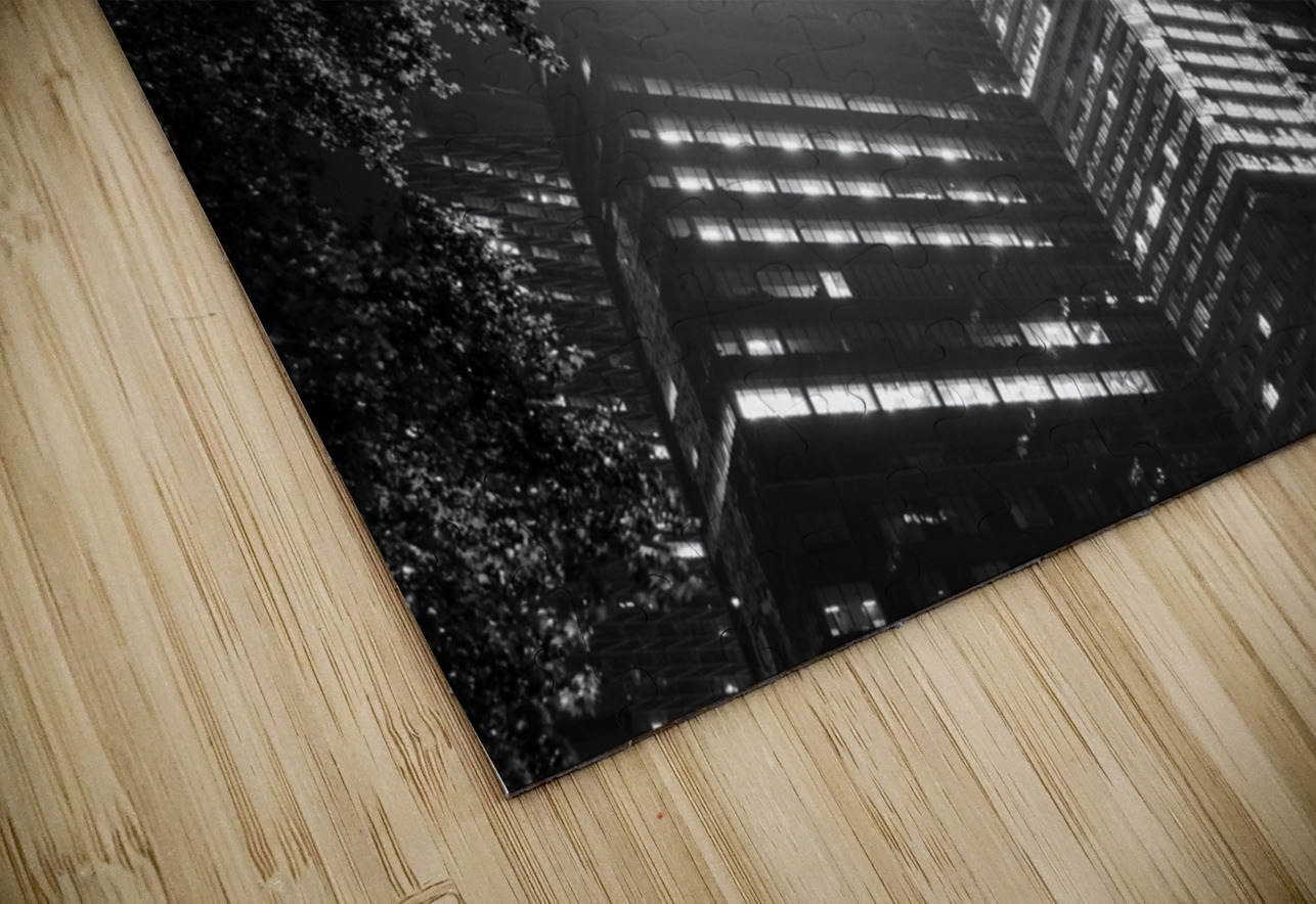 bryant park at night  horizontal 1412 Bryant 13k. Black And White Puzzle