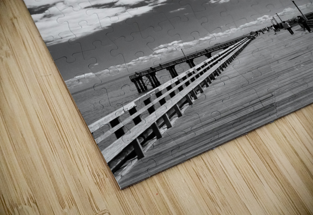 coney island pier  vertical 362 Gull 13k Black And White Puzzle