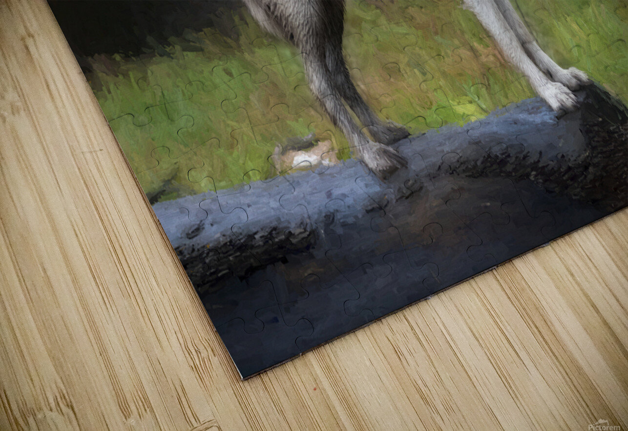 The wolf also known as the greygray wolf or timber wolf  Daniel L Friend Puzzle