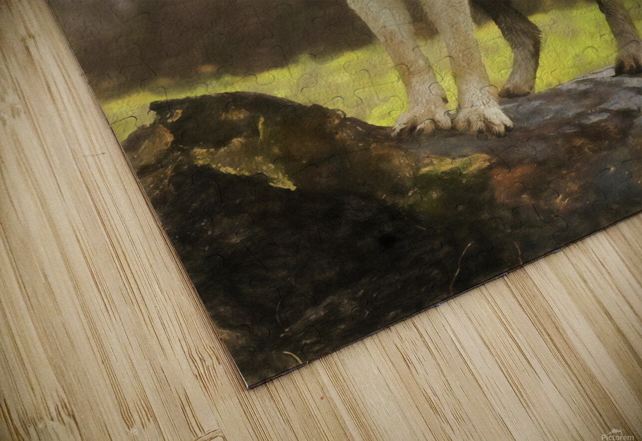 Wolves are legendary because of their spine-tingling howl  Daniel L Friend Puzzle