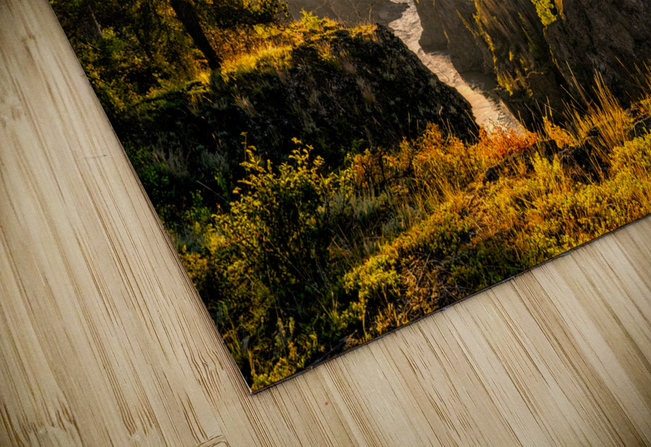 Grand Canyon of the Stikine Canyon Jeanine Philippe Photography Puzzle