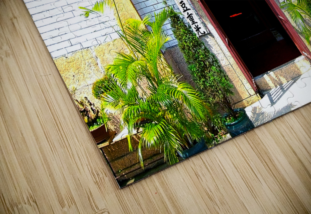 HK Island-RE - The Old Temple 08 Clement Tsang Puzzle