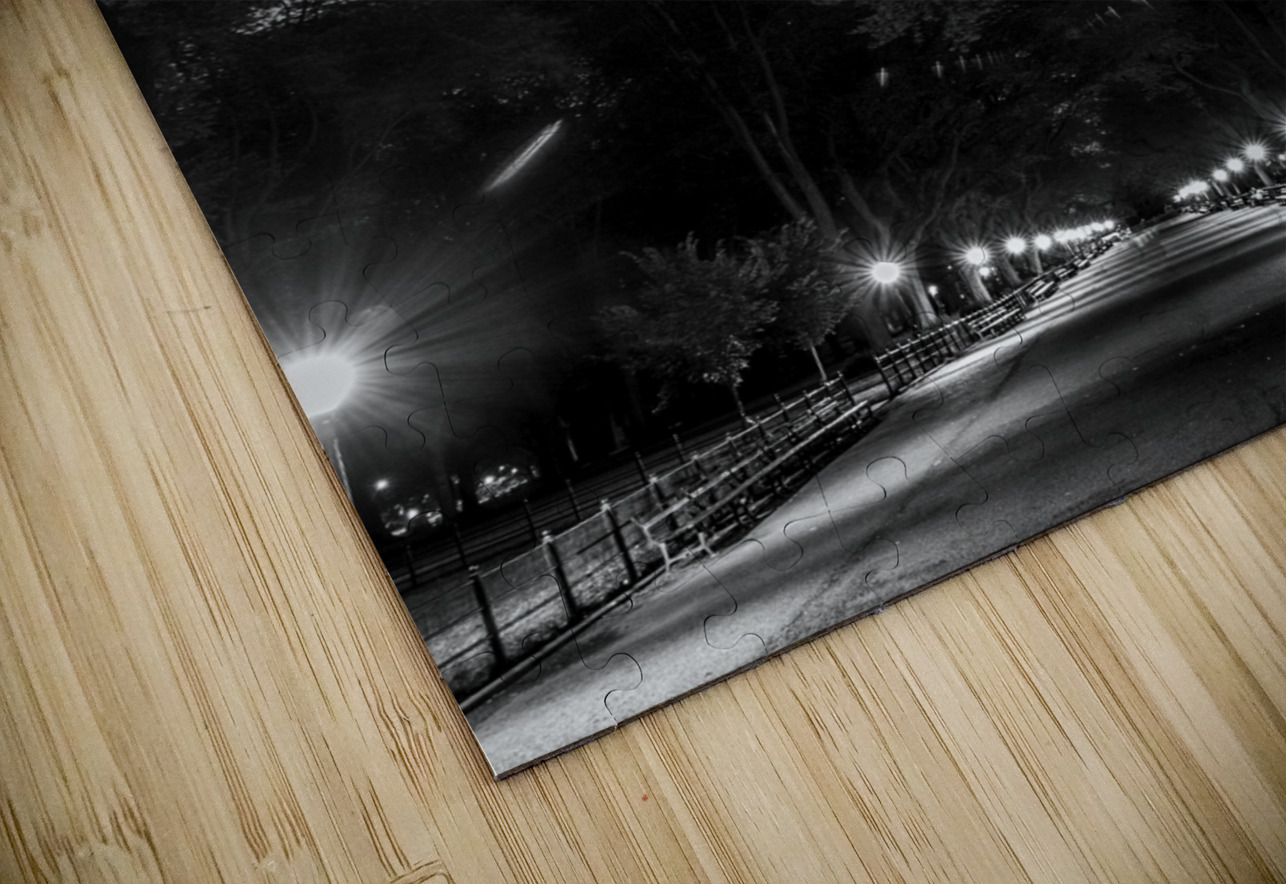 the mall central park  vertical 1466 Mall 13k Black And White Puzzle