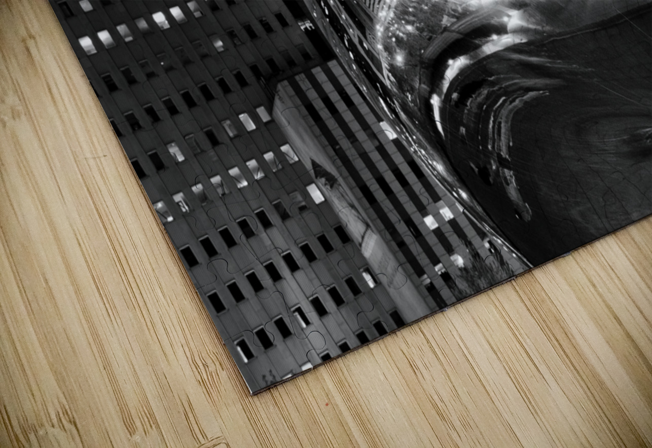 chicago skyline reflection cloud gate millennium  1708113916.5402 Black And White Puzzle