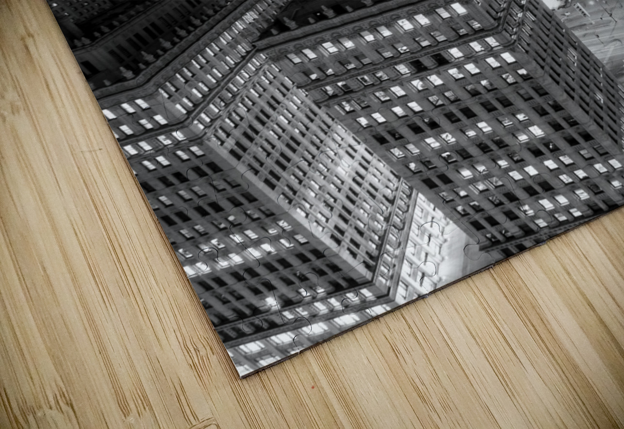 moonrise over downtown chicago at night  vertical Black And White Puzzle