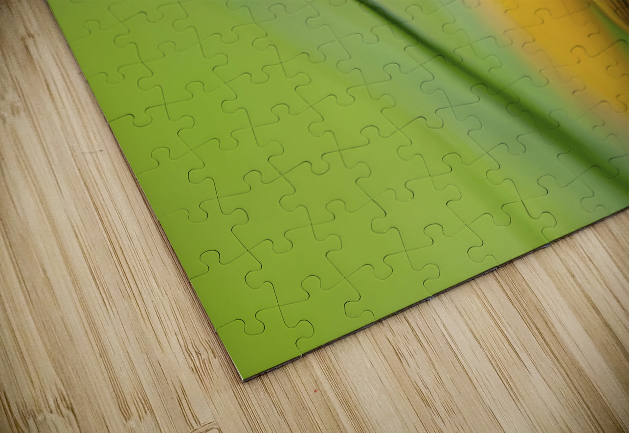 Yellow Crocus Assaf Frank Puzzle