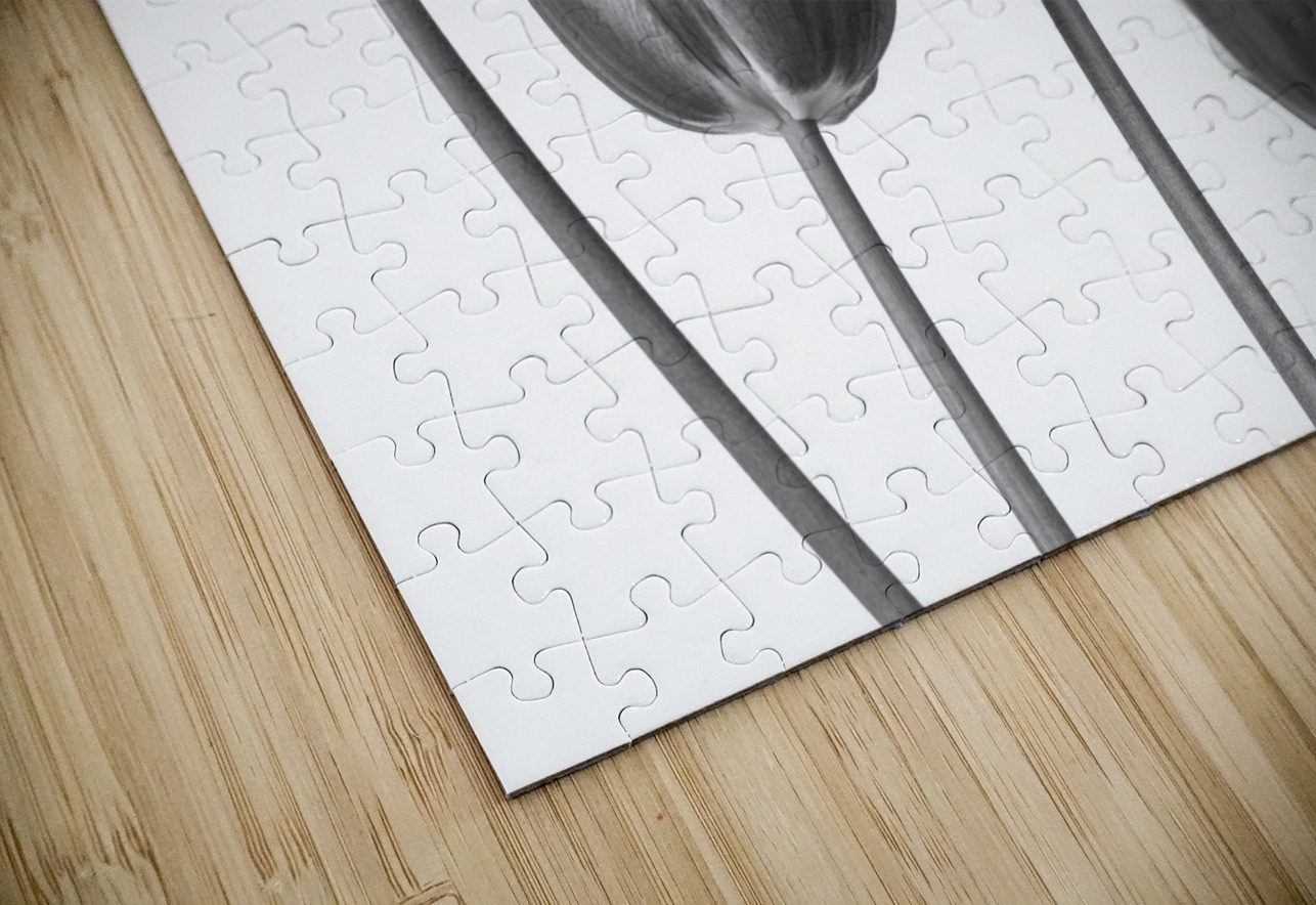 Fresh and Beautiful Tulips Assaf Frank Puzzle