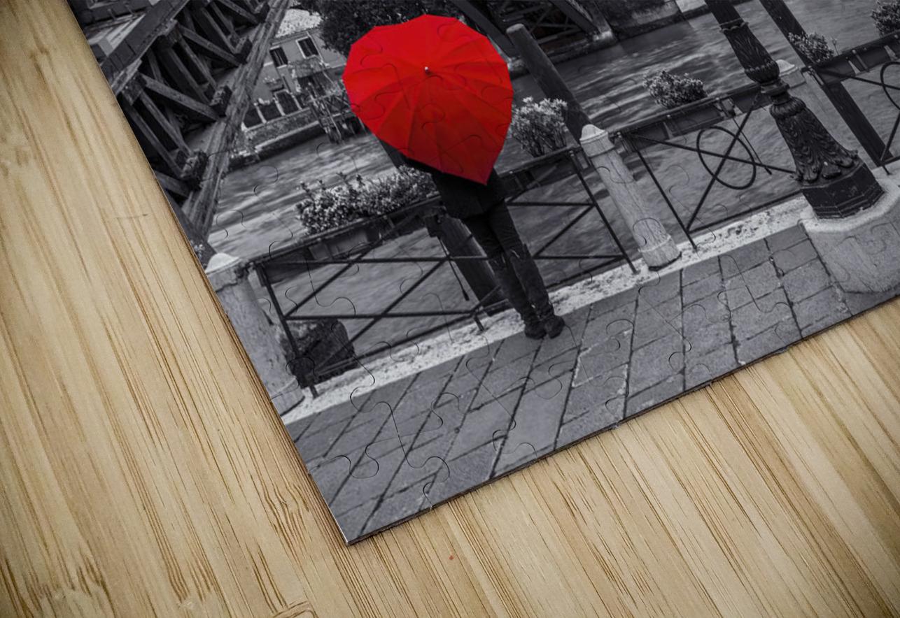 Accademia Bridge Venice Assaf Frank Puzzle