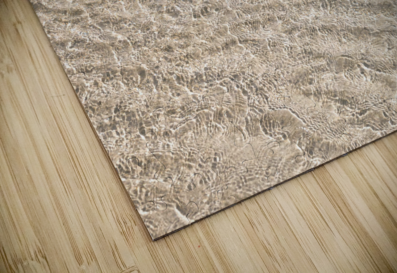 Shallow Waters Assaf Frank Puzzle