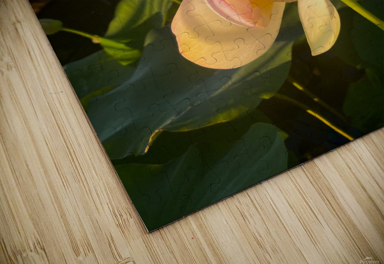 Hellotus Courageous Design by MaRiA Puzzle