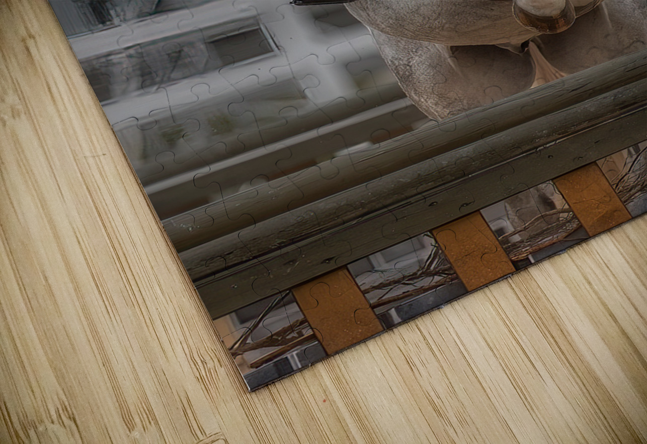 ACT *01678 John Walborn Promenade Photos Puzzle