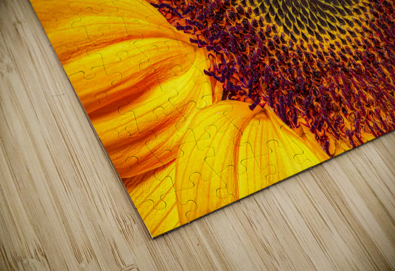 FLO 01764 John Walborn Promenade Photos Puzzle