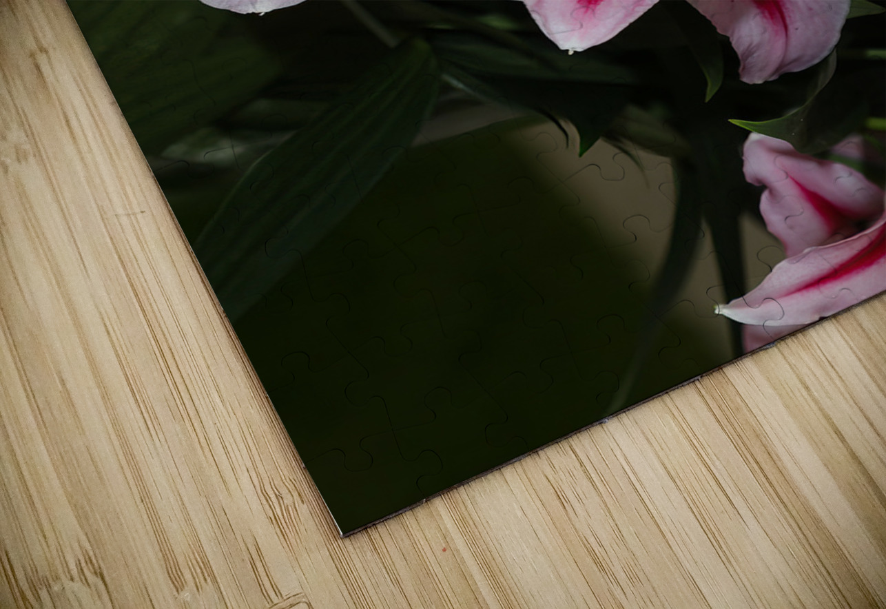 FLO 01810 John Walborn Promenade Photos Puzzle