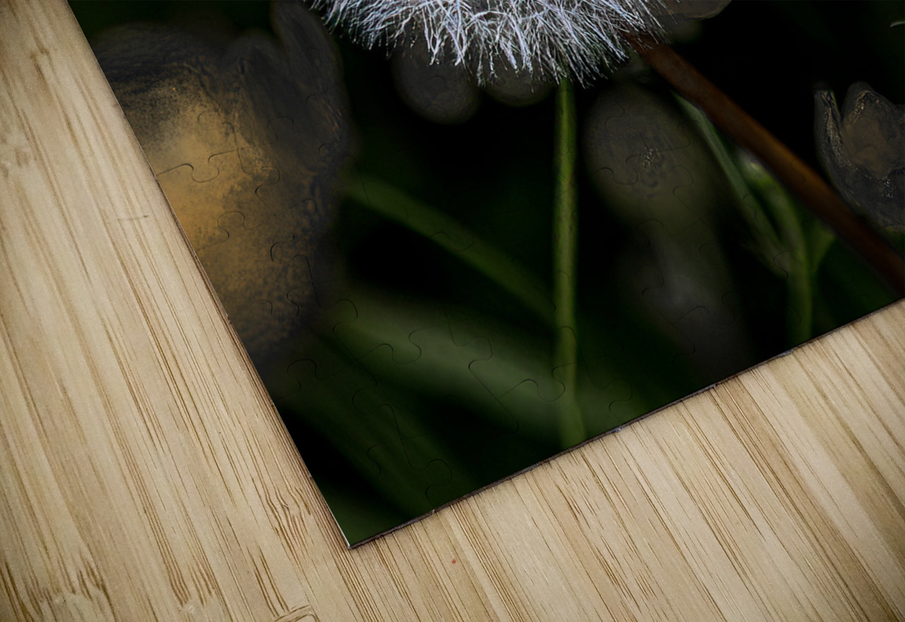 FLO 01805 John Walborn Promenade Photos Puzzle