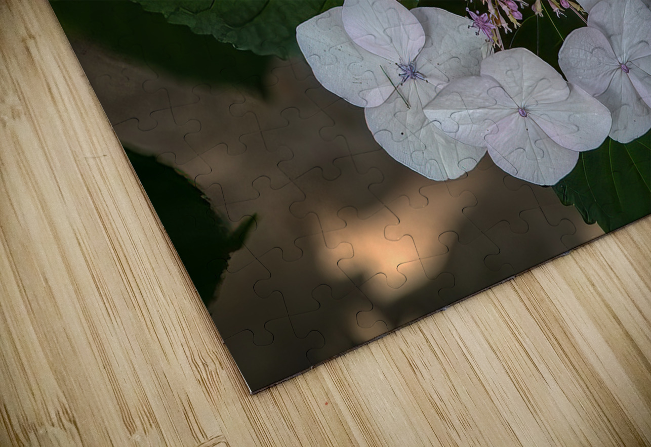 FLO 01773 John Walborn Promenade Photos Puzzle