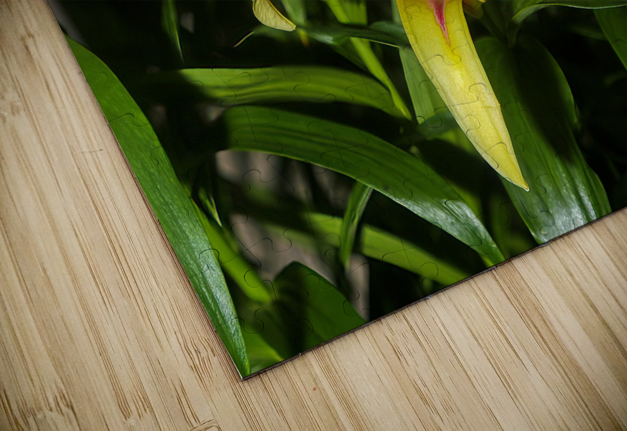 FLO 01809 John Walborn Promenade Photos Puzzle