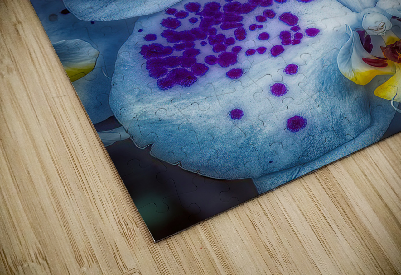 FLO 01813 John Walborn Promenade Photos Puzzle