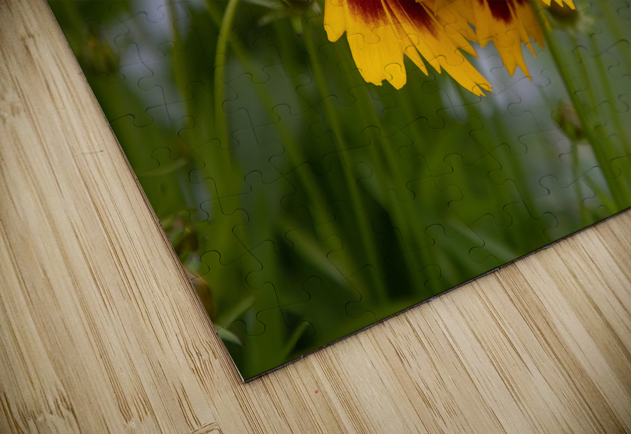 FLO 01801 John Walborn Promenade Photos Puzzle