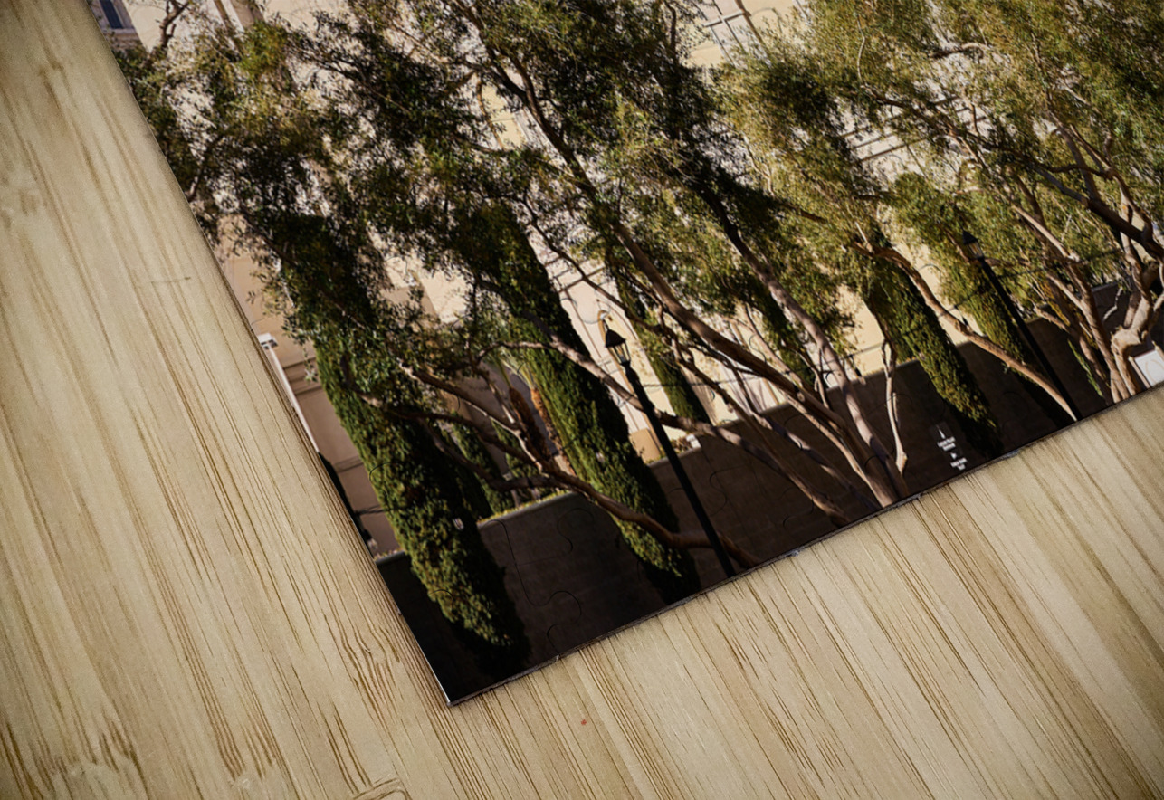 Caesars Palace   Las Vegas NV DSC08534 Sanjeev Singhal Puzzle