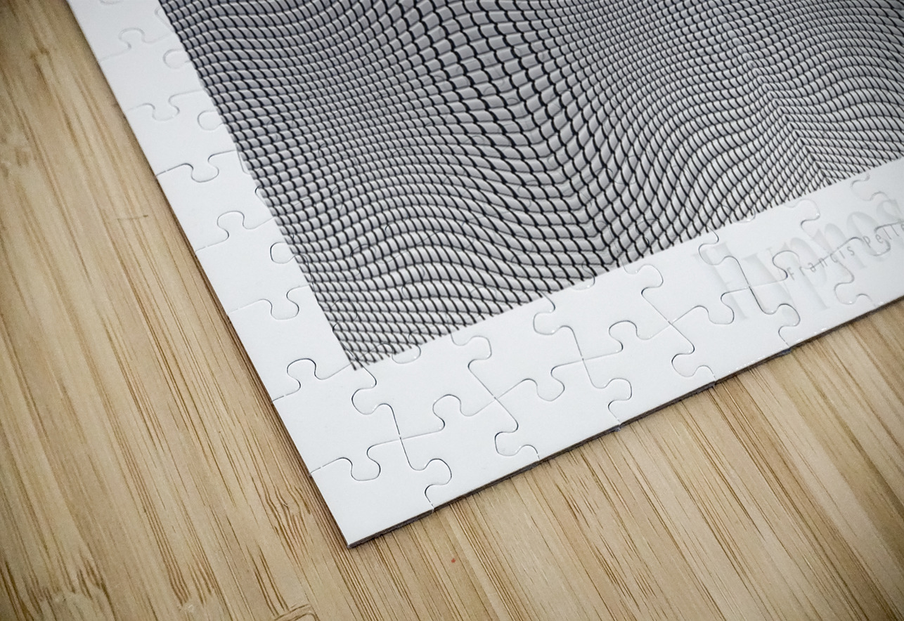 HYPNOSE 13 Francis Pelletier Puzzle